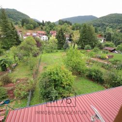 IMG_3770_bearbeitet.jpg