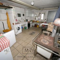 IMG_4104_bearbeitet.jpg